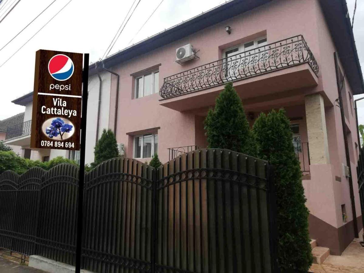 Hotel Casa Cattleya Târgu Jiu Exterior foto